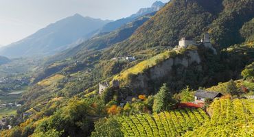 La tarda estate